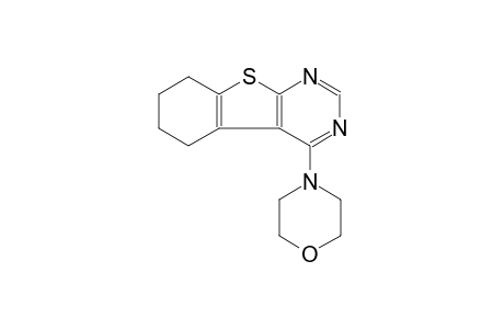 4-(MORPHOLIN-4-YL)-5,6,7,8-TETRAHYDRO-[1]-BENZO-THIENO-[2,3-D]-PYRIMIDINE