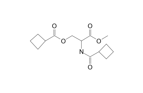 L-Serine, N,o-bis(cyclobutylcarbonyl)-, methyl ester