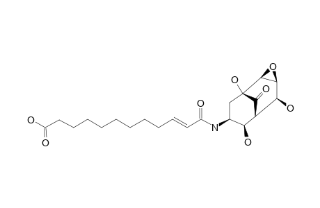 ISARIOTIN_B