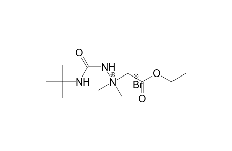 1-(2-Ethoxy-2-oxoethyl)-1,1-dimethyl-2-[(tert-butylamino)carbonyl]hydrazinium Bromide