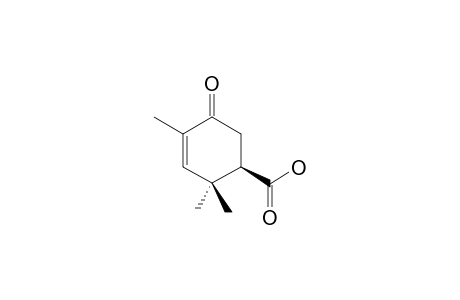 (1R)-3-OXO-4,6,6-TRIMETHYL-CYCLOHEX-4-ENE-1-CARBOXYLIC-ACID