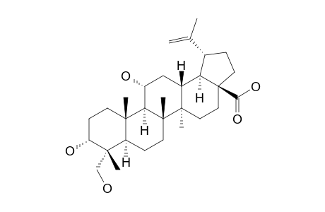 3-ALPHA,11-ALPHA,23-TRIHYDROXY-LUP-20(29)-EN-28-OIC-ACID