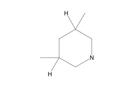 cis-3,5-Dimethyl-piperidine