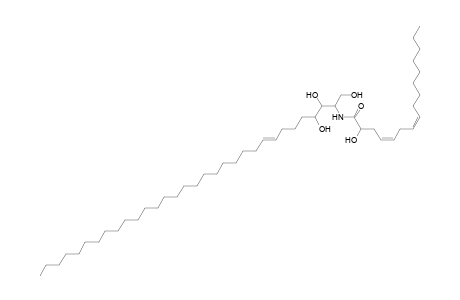 Cer 32:1;3O/16:2;(2OH)
