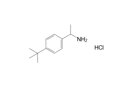 p-Tert-butyl-alpha-methylbenzylamine, hydrochloride