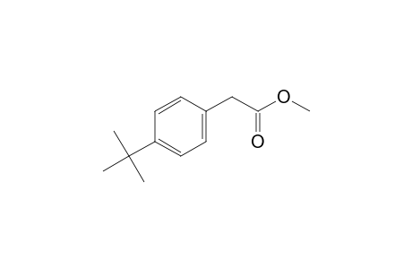 Methyl (4-tert-butylphenyl)acetate