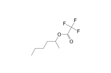 trifluoroacetic acid, 2-hexyl ester