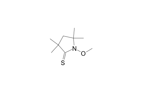 2-Pyrrolidinethione, 1-methoxy-3,3,5,5-tetramethyl-