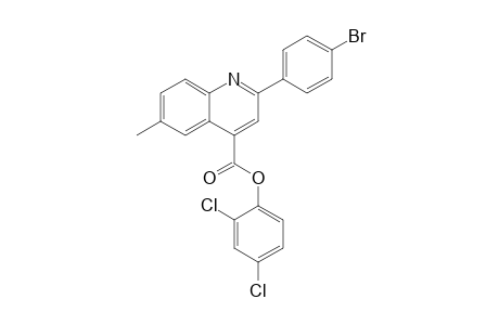 2,4-Dichlorophenyl 2-(4-bromophenyl)-6-methyl-4-quinolinecarboxylate