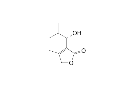 3-[(1S)-1-Hydroxy-2-methylpropyl]-4-methylfuran-2(5H)-one