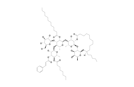 INTRAPILOSIN_VII