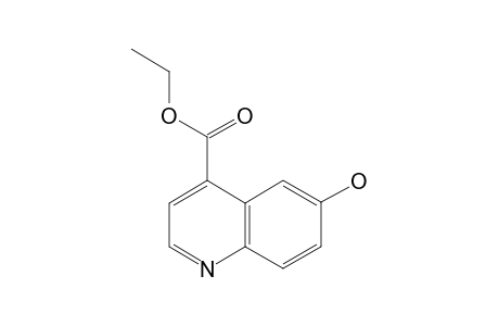 6-Hydroxy-cinchoninic acid, ethyl ester