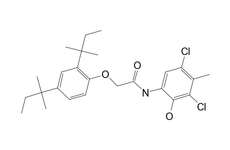 N-(3,5-Dichloro-2-hydroxy-4-methylphenyl)-2-(2,4-di-tert-pentylphenoxy)acetamide