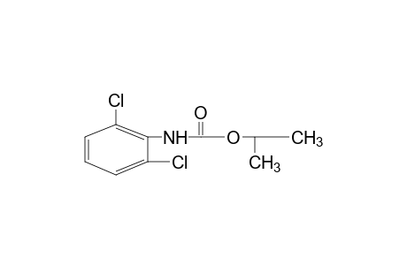 2,6-dichlorocarbanilic acid, isopropyl ester