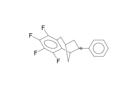 6-PHENYL-3,4-TETRAFLUOROBENZOBICYCLO[3.2.1]OCTEN-6-YL CATION