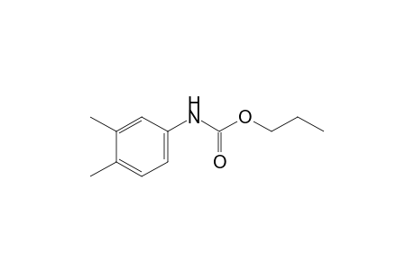 3,4-dimethylcarbanilic acid, propyl ester