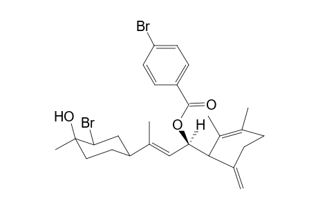 Rogioldiol B p-bromobenzoate