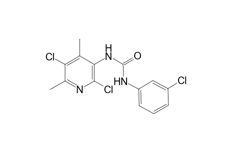 urea, N-(3-chlorophenyl)-N'-(2,5-dichloro-4,6-dimethyl-3-pyridinyl)-