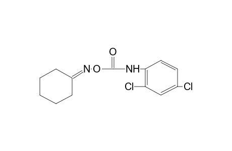 cyclohexanone, O-[(2,4-dichlorophenyl)carbamoyl]oxime