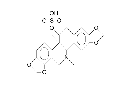 (+)-Corynolin-6-O-sulfat, (+)-corynolin-11-O-sulfat