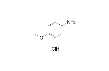 p-anisidine, hydrochloride