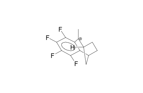 2-METHYL-3,4-TETRAFLUOROBENZOBICYCLO[3.2.1]OCTEN-2-YL CATION