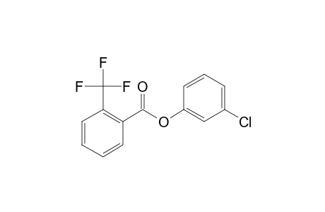 2-Trifluoromethylbenzoic acid, 3-chlorophenyl ester