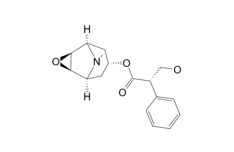 SCOPOLAMINE;REFERENCE