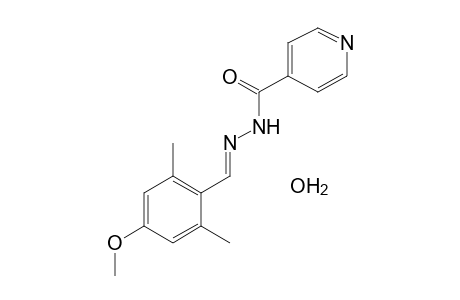 isonicotinic acid, (2,6-dimethyl-4-methoxybenzylidene)hydrazide, monohydrate