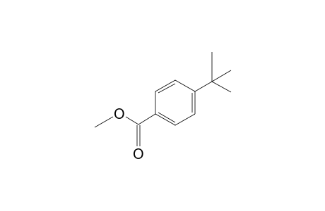 Methyl 4-tert-butylbenzoate