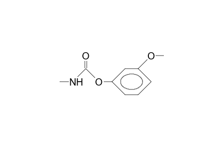 META-METHOXYPHENYL-N-METHYLCARBAMATE