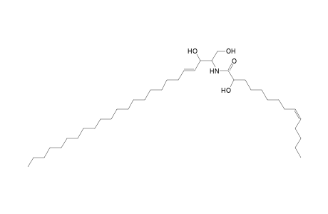 Cer 24:1;2O/14:1;(2OH)
