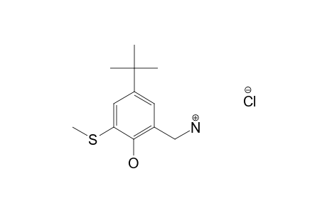 alpha-AMINO-4-tert-BUTYL-6-(METHYLTHIO)-o-CRESOL, HYDROCHLORIDE