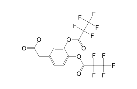 3,4-di(Pentafluoropropionyloxy)phenylacetic acid