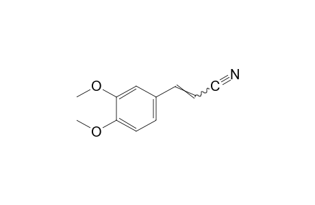 3,4-dimethoxycinnamonitrile