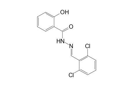 salicylic acid, (2,6-dichlorobenzylidene)hydrazide