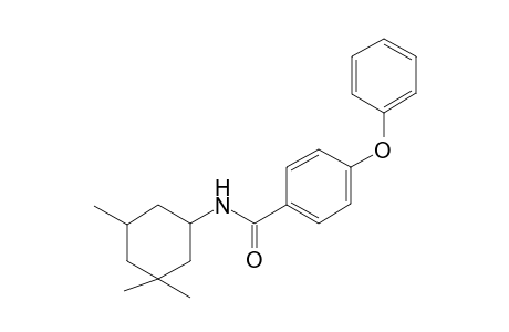 4-Phenoxy-N-(3,3,5-trimethyl-cyclohexyl)-benzamide