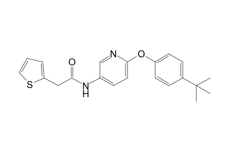 N-[6-(p-tert-butylphenoxy)-3-pyridyl]-2-thiopheneacetamide
