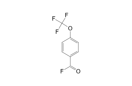 4-TRIFLUOROMETHOXY-BENZOIC-ACID-FLUORIDE