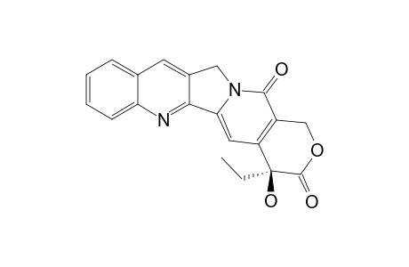 CAMPTOTHECINE