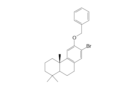 12-benzyloxy-13-bromopodocarpa-8,11,13-triene