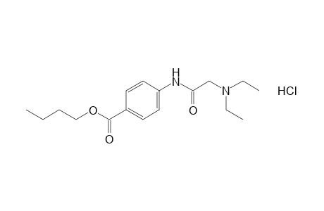 p-(Diethylaminoacetamido)benzoic acid, butyl ester, hydrochloride