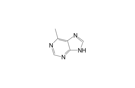 6-Methylpurine