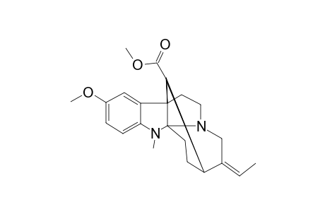 VINCORIN