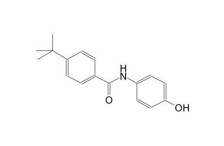 4-tert-butyl-N-(4-hydroxyphenyl)benzamide