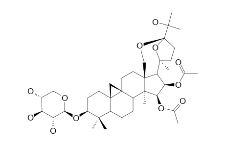 BEESIOSIDE-I