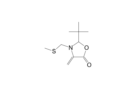 2-tert-Butyl-4-methylene-3-[(methylsulfanyl)methyl]-1,3-oxazolidin-5-one