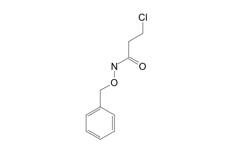 N-(benzyloxy)-3-chloropropionamide