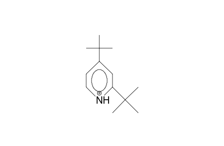 2,4-Di-tert-butyl-pyridinium cation