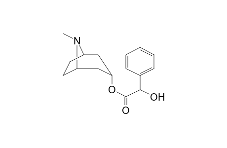 8-Methyl-8-azabicyclo[3.2.1]oct-3-yl hydroxy(phenyl)acetate